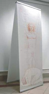Allure Banner - Display 80 x 200 cm oboustranný
