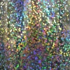 Fantasy Sequins š. 61 cm, stříbrná 10